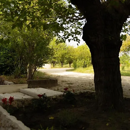 Tenuta I Gelsi Bed & Breakfast Benevento