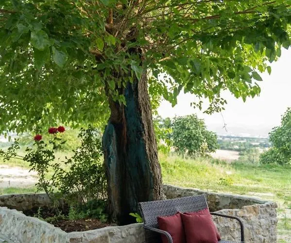 Tenuta I Gelsi Bed & Breakfast